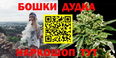 мдпв Будённовск