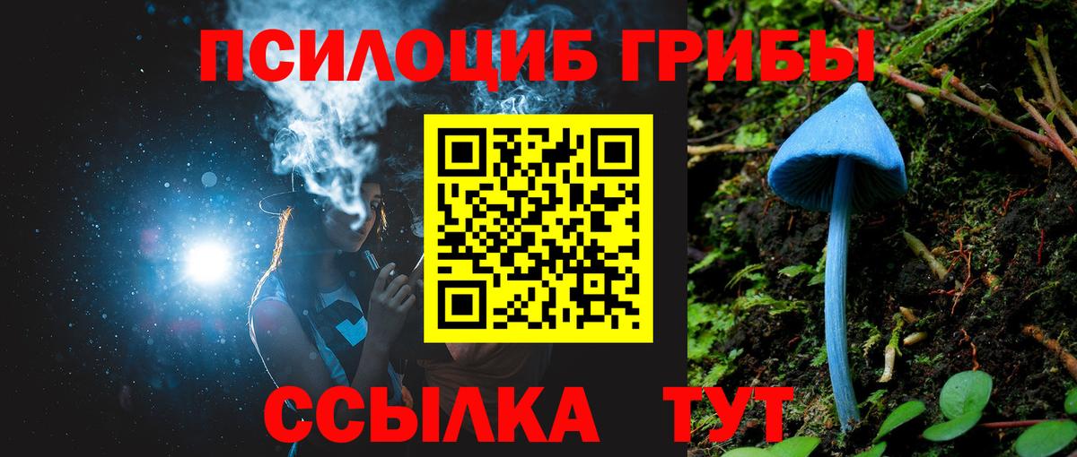 Псилоцибиновые грибы мухоморы Ульяновск