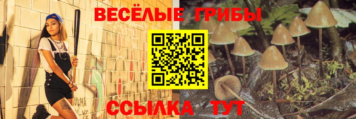 Ульяновск  Галлюциногенные грибы Psilocybine cubensis  наркотики  Вход с VPN 